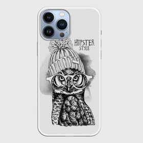 Чехол для iPhone 13 Pro Max с принтом Хипстер сова в Курске,  |  | art | bird | drawing | font | graphics | hat | hipster | inscription | owl | predator | view | wild | взгляд | графика | дикий | искусство | надпись | очки | птица | рисунок | сова | хипстер | хищник | шапка | шрифт