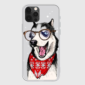 Чехол для iPhone 12 Pro Max с принтом Хаски в Курске, Силикон |  | animal | blue | breed | dog | drawing | eyes | graphic | husky | jaws | knitted | open | ornament | pattern | shawl | snow | winter | вязаный | глаза | голубые | графический | животное | зима | орнамент | открытая | очки | платок | порода | рису