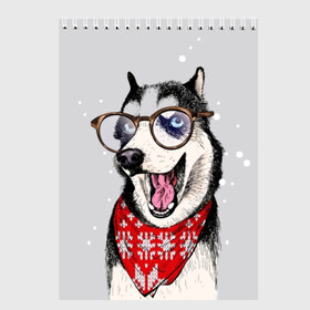 Скетчбук с принтом Хаски в Курске, 100% бумага
 | 48 листов, плотность листов — 100 г/м2, плотность картонной обложки — 250 г/м2. Листы скреплены сверху удобной пружинной спиралью | animal | blue | breed | dog | drawing | eyes | graphic | husky | jaws | knitted | open | ornament | pattern | shawl | snow | winter | вязаный | глаза | голубые | графический | животное | зима | орнамент | открытая | очки | платок | порода | рису