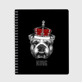 Тетрадь с принтом Английский бульдог с короной в Курске, 100% бумага | 48 листов, плотность листов — 60 г/м2, плотность картонной обложки — 250 г/м2. Листы скреплены сбоку удобной пружинной спиралью. Уголки страниц и обложки скругленные. Цвет линий — светло-серый
 | animals | authority | breed | bulldog | cool | crown | dog | english | fighting | head | illustration | inscription | king | muzzle | supreme | swag | авторитет | английский | бойцовый | бульдог | верховный | голова | животные | иллюстрация | король | кор