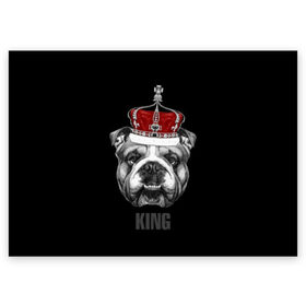 Поздравительная открытка с принтом Английский бульдог с короной в Курске, 100% бумага | плотность бумаги 280 г/м2, матовая, на обратной стороне линовка и место для марки
 | Тематика изображения на принте: animals | authority | breed | bulldog | cool | crown | dog | english | fighting | head | illustration | inscription | king | muzzle | supreme | swag | авторитет | английский | бойцовый | бульдог | верховный | голова | животные | иллюстрация | король | кор