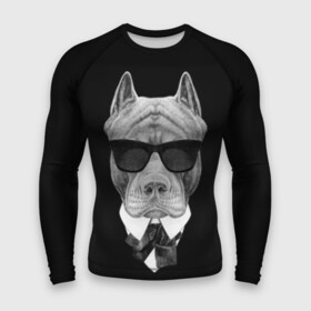 Мужской рашгард 3D с принтом Питбуль в Курске,  |  | animals | black | black and white | cool | dog | fight | gentleman | head | illustration | pitbull | swag | white | авторитет | белая | бойцовый | галстук бабочка | голова | джентльмен | животные | иллюстрация | костюм | крутой | очки | 