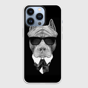 Чехол для iPhone 13 Pro с принтом Питбуль в Курске,  |  | animals | black | black and white | cool | dog | fight | gentleman | head | illustration | pitbull | swag | white | авторитет | белая | бойцовый | галстук бабочка | голова | джентльмен | животные | иллюстрация | костюм | крутой | очки | 