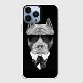 Чехол для iPhone 13 Pro Max с принтом Питбуль в Курске,  |  | animals | black | black and white | cool | dog | fight | gentleman | head | illustration | pitbull | swag | white | авторитет | белая | бойцовый | галстук бабочка | голова | джентльмен | животные | иллюстрация | костюм | крутой | очки | 