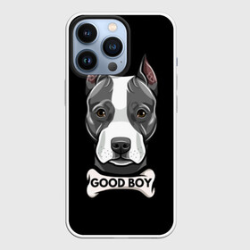 Чехол для iPhone 13 Pro с принтом Стаффордширский терьер в Курске,  |  | animal | bone | breed | dog | fight | head | inscription | look | muzzle | staffordshire | terrier | бойцовая | взгляд | голова | животное | кость | надпись | порода | собака | стаффордширский | терьер