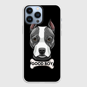 Чехол для iPhone 13 Pro Max с принтом Стаффордширский терьер в Курске,  |  | animal | bone | breed | dog | fight | head | inscription | look | muzzle | staffordshire | terrier | бойцовая | взгляд | голова | животное | кость | надпись | порода | собака | стаффордширский | терьер