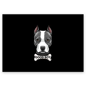 Поздравительная открытка с принтом Стаффордширский терьер в Курске, 100% бумага | плотность бумаги 280 г/м2, матовая, на обратной стороне линовка и место для марки
 | animal | bone | breed | dog | fight | head | inscription | look | muzzle | staffordshire | terrier | бойцовая | взгляд | голова | животное | кость | надпись | порода | собака | стаффордширский | терьер