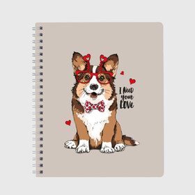 Тетрадь с принтом I need your love в Курске, 100% бумага | 48 листов, плотность листов — 60 г/м2, плотность картонной обложки — 250 г/м2. Листы скреплены сбоку удобной пружинной спиралью. Уголки страниц и обложки скругленные. Цвет линий — светло-серый
 | Тематика изображения на принте: animal | bow tie | breed | corgi | cute | dog | funny | hearts | holiday | pembroke | polka dot | red | saint | valentine | валентина | вельш корги | галстук бабочка | горошек | день | животное | красный | любовь | милая | очки | пемброк | пород