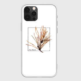 Чехол для iPhone 12 Pro Max с принтом Pinus Sylvestris в Курске, Силикон |  | Тематика изображения на принте: абстракция | авторская работа | ботаническая иллюстрация | деревья | иллюстрации | минимализм | сосна | цветы