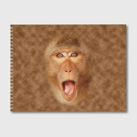 Альбом для рисования с принтом Обезьяна в Курске, 100% бумага
 | матовая бумага, плотность 200 мг. | голова | животные | мартышка | мордочка | обезьяна | открытый | прикол | природа | рот | юмор