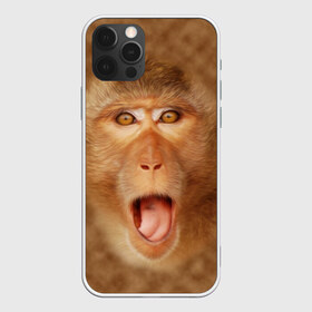 Чехол для iPhone 12 Pro Max с принтом Обезьяна в Курске, Силикон |  | голова | животные | мартышка | мордочка | обезьяна | открытый | прикол | природа | рот | юмор