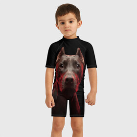 Детский купальный костюм 3D с принтом Стафф в Курске, Полиэстер 85%, Спандекс 15% | застежка на молнии на спине | Тематика изображения на принте: амстафф | голова | животные | мордочка | природа | собака | стафф | стаффордширский терьер