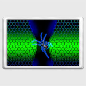 Магнит 45*70 с принтом Паук на ночной охоте в Курске, Пластик | Размер: 78*52 мм; Размер печати: 70*45 | Тематика изображения на принте: зеленая броня | зеленый неон | классный дизайн | ночь | паук | паук дизайн | паук на охоте | паук охотник | пчелиные | соты | темная футболка | футболка с пауком | черные соты
