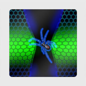 Магнит виниловый Квадрат с принтом Паук на ночной охоте в Курске, полимерный материал с магнитным слоем | размер 9*9 см, закругленные углы | зеленая броня | зеленый неон | классный дизайн | ночь | паук | паук дизайн | паук на охоте | паук охотник | пчелиные | соты | темная футболка | футболка с пауком | черные соты