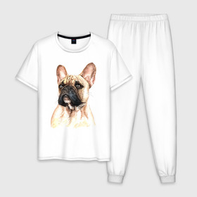 Мужская пижама хлопок с принтом Французский бульдог в Курске, 100% хлопок | брюки и футболка прямого кроя, без карманов, на брюках мягкая резинка на поясе и по низу штанин
 | Тематика изображения на принте: bulldog | dog | бульдог | собака | собаки | французский бульдог