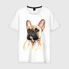 Мужская футболка хлопок с принтом Французский бульдог в Курске, 100% хлопок | прямой крой, круглый вырез горловины, длина до линии бедер, слегка спущенное плечо. | bulldog | dog | бульдог | собака | собаки | французский бульдог