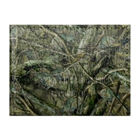 Обложка для студенческого билета с принтом Лесной камуфляж в Курске, натуральная кожа | Размер: 11*8 см; Печать на всей внешней стороне | камуфляж | лесной камуфляж