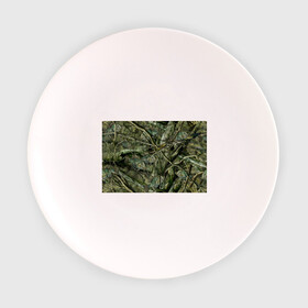 Тарелка с принтом Лесной камуфляж в Курске, фарфор | диаметр - 210 мм
диаметр для нанесения принта - 120 мм | Тематика изображения на принте: камуфляж | лесной камуфляж