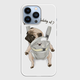 Чехол для iPhone 13 Pro с принтом Мопс в рюкзаке в Курске,  |  | background | backpack | breed | brown | color | cute | dog | funny | gray | look | muzzle | paws | pug | puppy | slogan | small | trace | white | белый | взгляд | коричневый | лапы | маленький | милый | мопс | пес | порода | прикольный | рюкзак | 