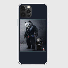 Чехол для iPhone 12 Pro Max с принтом PANDA в Курске, Силикон |  | Тематика изображения на принте: glory | guruma | judo | kata otoshi | m 1 | ufc | бой | борьба | дзюдзюцу | дзюдо | кимоно | мотивация | мягкий | приемы | путь | сила | скорость | спорт | стиль | татами | япония