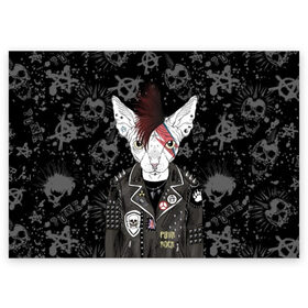 Поздравительная открытка с принтом Кот в косухе в Курске, 100% бумага | плотность бумаги 280 г/м2, матовая, на обратной стороне линовка и место для марки
 | anarchy | breed | cat | clothes | cool | hairstyle | icon | jacket | kote | mohawk | muzzle | piercing | punk | riveting | rock | skull | sphinx | spikes | tattoo | анархия | значок | ирокез | к | клепки | кот | котик | котэ | круто | куртка | оде