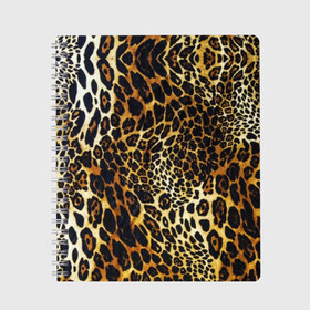 Тетрадь с принтом Шкура леопарда в Курске, 100% бумага | 48 листов, плотность листов — 60 г/м2, плотность картонной обложки — 250 г/м2. Листы скреплены сбоку удобной пружинной спиралью. Уголки страниц и обложки скругленные. Цвет линий — светло-серый
 | animal | cheeky | dangerous | leopard | nature | pattern | predator | skin | spots | wild | дерзкий | дикий | животное | леопард | опасный | природа | пятна | узор | хищник