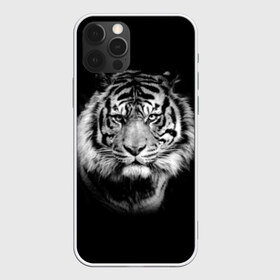 Чехол для iPhone 12 Pro Max с принтом Тигр в Курске, Силикон |  | Тематика изображения на принте: animal | beautiful | black | cool | fangs | fauna | mustache | muzzle | nature | photo | predator | striped | tiger | view | white | wild | wool | белый | взгляд | дикий | животное | клыки | красивый | круто | полосатый | природа | тигр | усы | фа