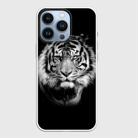 Чехол для iPhone 13 Pro с принтом Тигр в Курске,  |  | Тематика изображения на принте: animal | beautiful | black | cool | fangs | fauna | mustache | muzzle | nature | photo | predator | striped | tiger | view | white | wild | wool | белый | взгляд | дикий | животное | клыки | красивый | круто | полосатый | природа | тигр | усы | фа