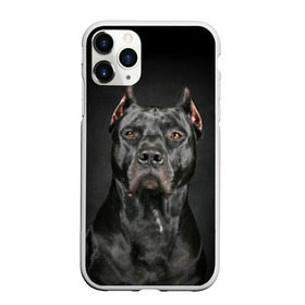 Чехол для iPhone 11 Pro матовый с принтом Питбуль в Курске, Силикон |  | animal | black | breed | bull | combat | dog | ears | eyes | image | muzzle | nose | pit bull | portrait | боевой | бугай | глаза | животное | изображение | нос | пес | питбуль | порода | портрет | псина | собака | уши | черный