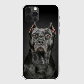 Чехол для iPhone 12 Pro Max с принтом Питбуль в Курске, Силикон |  | animal | black | breed | bull | combat | dog | ears | eyes | image | muzzle | nose | pit bull | portrait | боевой | бугай | глаза | животное | изображение | нос | пес | питбуль | порода | портрет | псина | собака | уши | черный