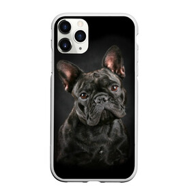Чехол для iPhone 11 Pro матовый с принтом Французский бульдог в Курске, Силикон |  | animal | background | beast | black | breed | bulldog | cool | cute | dog | ears | french | jaw | look | muzzle | portrait | wool | бульдог | взгляд | животное | зверь | милый | пёс | порода | портрет | прикольно | псина | собака | уши | фон | фра