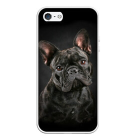 Чехол для iPhone 5/5S матовый с принтом Французский бульдог в Курске, Силикон | Область печати: задняя сторона чехла, без боковых панелей | animal | background | beast | black | breed | bulldog | cool | cute | dog | ears | french | jaw | look | muzzle | portrait | wool | бульдог | взгляд | животное | зверь | милый | пёс | порода | портрет | прикольно | псина | собака | уши | фон | фра