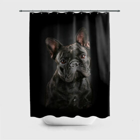 Штора 3D для ванной с принтом Французский бульдог в Курске, 100% полиэстер | плотность материала — 100 г/м2. Стандартный размер — 146 см х 180 см. По верхнему краю — пластиковые люверсы для креплений. В комплекте 10 пластиковых колец | animal | background | beast | black | breed | bulldog | cool | cute | dog | ears | french | jaw | look | muzzle | portrait | wool | бульдог | взгляд | животное | зверь | милый | пёс | порода | портрет | прикольно | псина | собака | уши | фон | фра