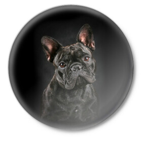 Значок с принтом Французский бульдог в Курске,  металл | круглая форма, металлическая застежка в виде булавки | animal | background | beast | black | breed | bulldog | cool | cute | dog | ears | french | jaw | look | muzzle | portrait | wool | бульдог | взгляд | животное | зверь | милый | пёс | порода | портрет | прикольно | псина | собака | уши | фон | фра