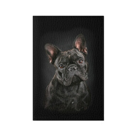 Обложка для паспорта матовая кожа с принтом Французский бульдог в Курске, натуральная матовая кожа | размер 19,3 х 13,7 см; прозрачные пластиковые крепления | animal | background | beast | black | breed | bulldog | cool | cute | dog | ears | french | jaw | look | muzzle | portrait | wool | бульдог | взгляд | животное | зверь | милый | пёс | порода | портрет | прикольно | псина | собака | уши | фон | фра