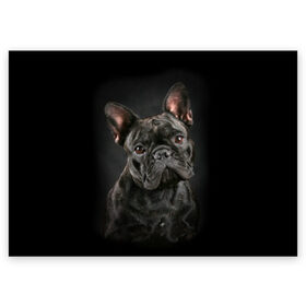 Поздравительная открытка с принтом Французский бульдог в Курске, 100% бумага | плотность бумаги 280 г/м2, матовая, на обратной стороне линовка и место для марки
 | Тематика изображения на принте: animal | background | beast | black | breed | bulldog | cool | cute | dog | ears | french | jaw | look | muzzle | portrait | wool | бульдог | взгляд | животное | зверь | милый | пёс | порода | портрет | прикольно | псина | собака | уши | фон | фра
