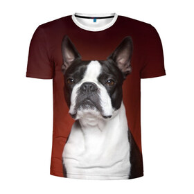 Мужская футболка 3D спортивная с принтом Французский бульдог в Курске, 100% полиэстер с улучшенными характеристиками | приталенный силуэт, круглая горловина, широкие плечи, сужается к линии бедра | Тематика изображения на принте: animal | background | beast | black | breed | bulldog | color | cool | cute | dog | e | jaw | look | muzzle | portrait | red | white | белый | бульдог | взгляд | животное | зверь | красный | милый | пёс | порода | портрет | прикольно | псина | соб