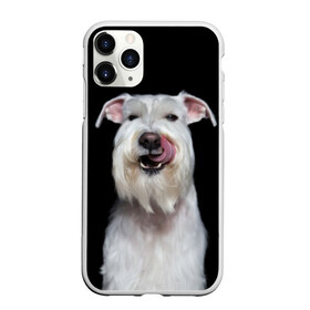 Чехол для iPhone 11 Pro матовый с принтом Белый шнауцер в Курске, Силикон |  | animal | background | beast | black | breed | cool | cute | dog | ears | fangs | jaw | look | muzzle | portrait | tongue | white | wool | белый | взгляд | животное | зверь | клыки | милый | пёс | порода | портрет | прикольно | псина | собака | уши