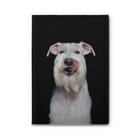Обложка для автодокументов с принтом Белый шнауцер в Курске, натуральная кожа |  размер 19,9*13 см; внутри 4 больших “конверта” для документов и один маленький отдел — туда идеально встанут права | animal | background | beast | black | breed | cool | cute | dog | ears | fangs | jaw | look | muzzle | portrait | tongue | white | wool | белый | взгляд | животное | зверь | клыки | милый | пёс | порода | портрет | прикольно | псина | собака | уши