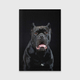 Обложка для паспорта матовая кожа с принтом Черный кан - корсо в Курске, натуральная матовая кожа | размер 19,3 х 13,7 см; прозрачные пластиковые крепления | Тематика изображения на принте: animal | background | beast | black | breed | can   corso | cool | cute | dog | ears | fangs | jaw | look | muzzle | portrait | tongue | wool | взгляд | животное | зверь | кан   корсо | клыки | милый | пёс | порода | портрет | прикольно | псина | 