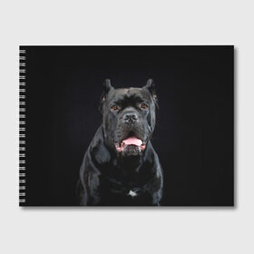 Альбом для рисования с принтом Черный кан - корсо в Курске, 100% бумага
 | матовая бумага, плотность 200 мг. | Тематика изображения на принте: animal | background | beast | black | breed | can   corso | cool | cute | dog | ears | fangs | jaw | look | muzzle | portrait | tongue | wool | взгляд | животное | зверь | кан   корсо | клыки | милый | пёс | порода | портрет | прикольно | псина | 