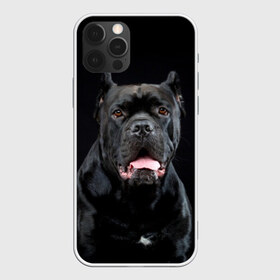 Чехол для iPhone 12 Pro Max с принтом Черный кан - корсо в Курске, Силикон |  | Тематика изображения на принте: animal | background | beast | black | breed | can   corso | cool | cute | dog | ears | fangs | jaw | look | muzzle | portrait | tongue | wool | взгляд | животное | зверь | кан   корсо | клыки | милый | пёс | порода | портрет | прикольно | псина | 