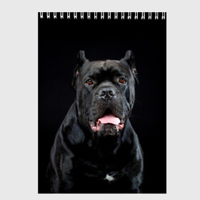 Скетчбук с принтом Черный кан - корсо в Курске, 100% бумага
 | 48 листов, плотность листов — 100 г/м2, плотность картонной обложки — 250 г/м2. Листы скреплены сверху удобной пружинной спиралью | Тематика изображения на принте: animal | background | beast | black | breed | can   corso | cool | cute | dog | ears | fangs | jaw | look | muzzle | portrait | tongue | wool | взгляд | животное | зверь | кан   корсо | клыки | милый | пёс | порода | портрет | прикольно | псина | 