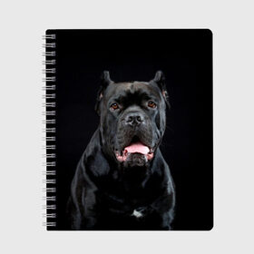 Тетрадь с принтом Черный кан - корсо в Курске, 100% бумага | 48 листов, плотность листов — 60 г/м2, плотность картонной обложки — 250 г/м2. Листы скреплены сбоку удобной пружинной спиралью. Уголки страниц и обложки скругленные. Цвет линий — светло-серый
 | animal | background | beast | black | breed | can   corso | cool | cute | dog | ears | fangs | jaw | look | muzzle | portrait | tongue | wool | взгляд | животное | зверь | кан   корсо | клыки | милый | пёс | порода | портрет | прикольно | псина | 