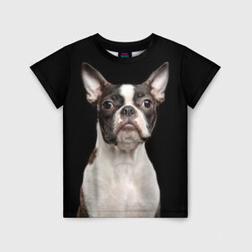 Детская футболка 3D с принтом Бостонский терьер в Курске, 100% гипоаллергенный полиэфир | прямой крой, круглый вырез горловины, длина до линии бедер, чуть спущенное плечо, ткань немного тянется | animal | background | beast | black | boston | breed | color | cool | cute | dog | ears | jaw | look | muzzle | pet | portrait | terrier | white | wool | белый | бостон | взгляд | животное | зверь | милый | пёс | питомец | порода | портрет | прико