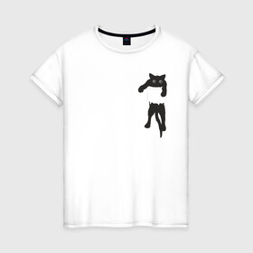 Женская футболка хлопок с принтом Кися в кармане в Курске, 100% хлопок | прямой крой, круглый вырез горловины, длина до линии бедер, слегка спущенное плечо | Тематика изображения на принте: cat | арт | животные | карман | кися | кот | кот в кармане | котенок | коты | кошка