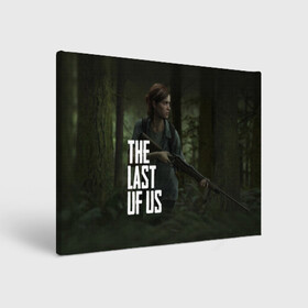 Холст прямоугольный с принтом THE LAST OF US ЭЛЛИ | ОДНИ ИЗ НАС ELLIE в Курске, 100% ПВХ |  | gamer | player | stels | the last of us | the last of us part 2 | бегун | джоэл | каннибалы | охотники | сталкер | топляк | цикады | щелкун | элли