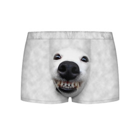 Мужские трусы 3D с принтом Собака - улыбака в Курске, 50% хлопок, 50% полиэстер | классическая посадка, на поясе мягкая тканевая резинка | животные | зубы | мордочка | пес | прикол | смешная | собака | улыбака | улыбка | щенок | юмор