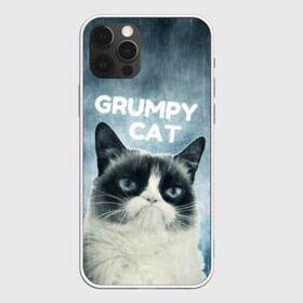 Чехол для iPhone 12 Pro с принтом Grumpy Cat в Курске, силикон | область печати: задняя сторона чехла, без боковых панелей | кот | котики | коты | мем | мемы | сердитый кот