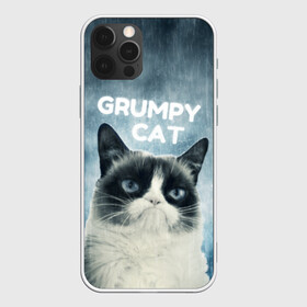 Чехол для iPhone 12 Pro Max с принтом Grumpy Cat в Курске, Силикон |  | кот | котики | коты | мем | мемы | сердитый кот